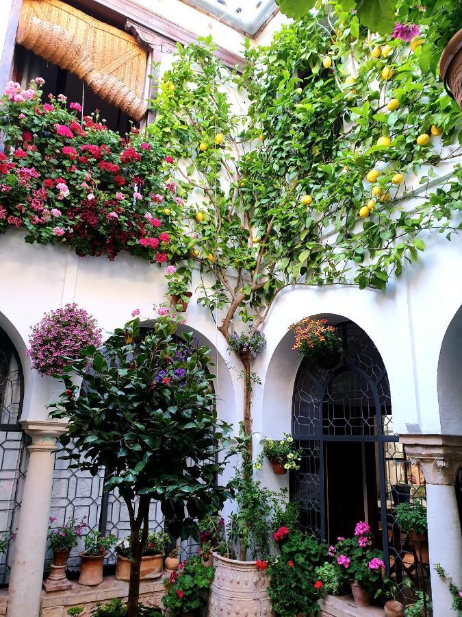 Apto. Planta Baja Y Cochera Barrio San Basilio Cordoba Exterior photo